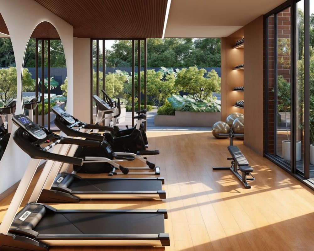 GIMNASIO